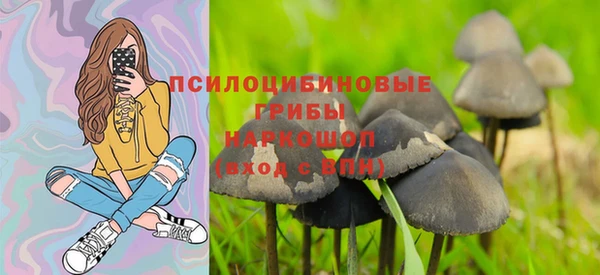 трава Аркадак