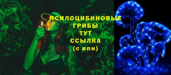 трава Аркадак